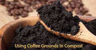 Do Old Coffee Premises Work As Fertilizer?